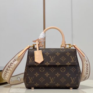 Designer Louis Vuitton Cluny BB M46055