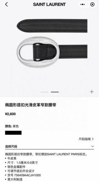 Saint Laurent- belt 10